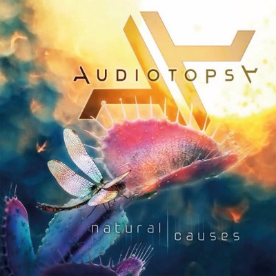 Подробности дебютного альбома Audiotopsy