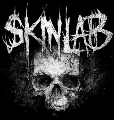 Отрывки новых песен Skinlab